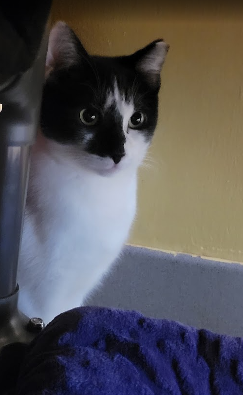 Screenshot 2026-01-08 125922.png