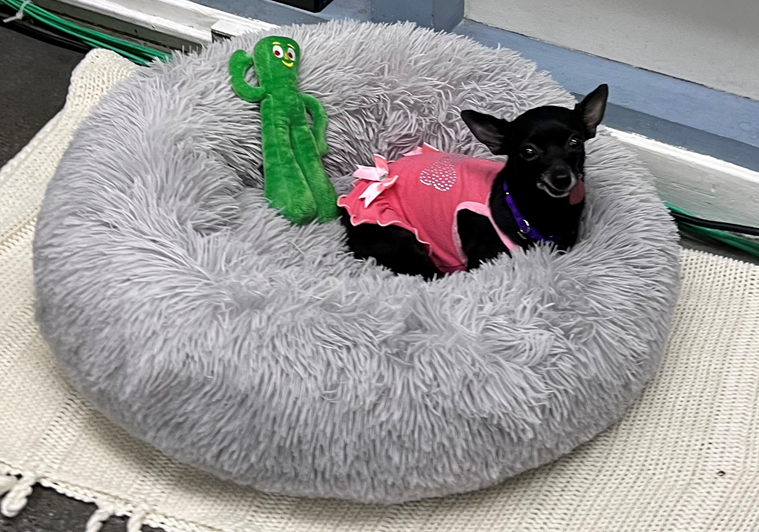 Screenshot 2026-03-20 141515.png