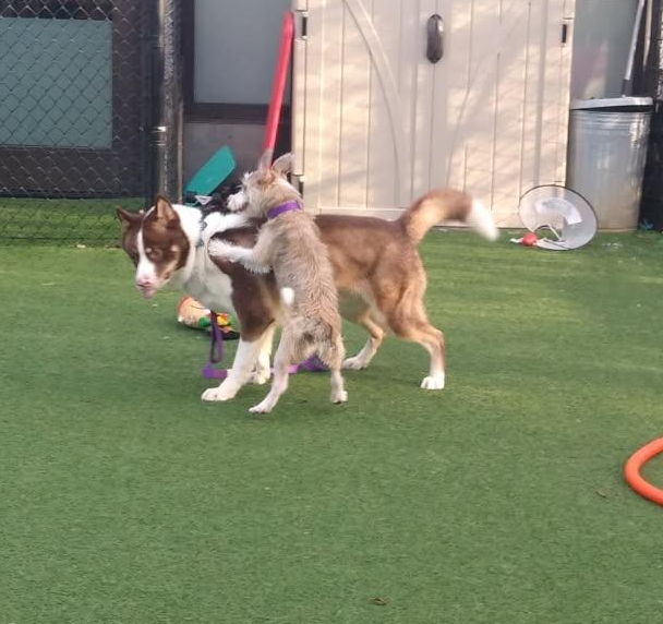 Screenshot 2026-01-12 145036.png