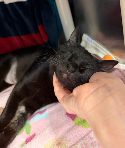 Screenshot 2026-01-12 144505.png