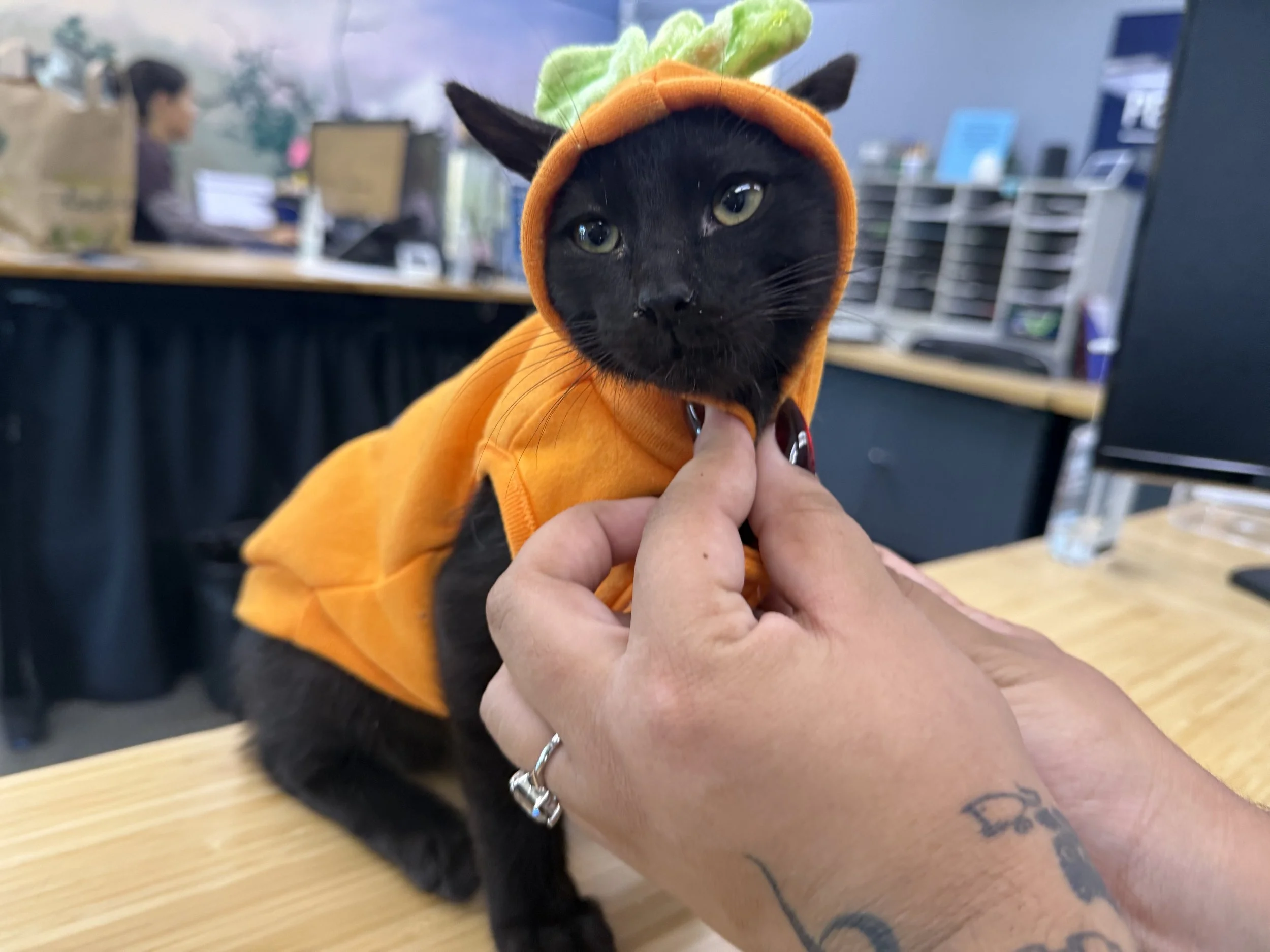boo2.jpg