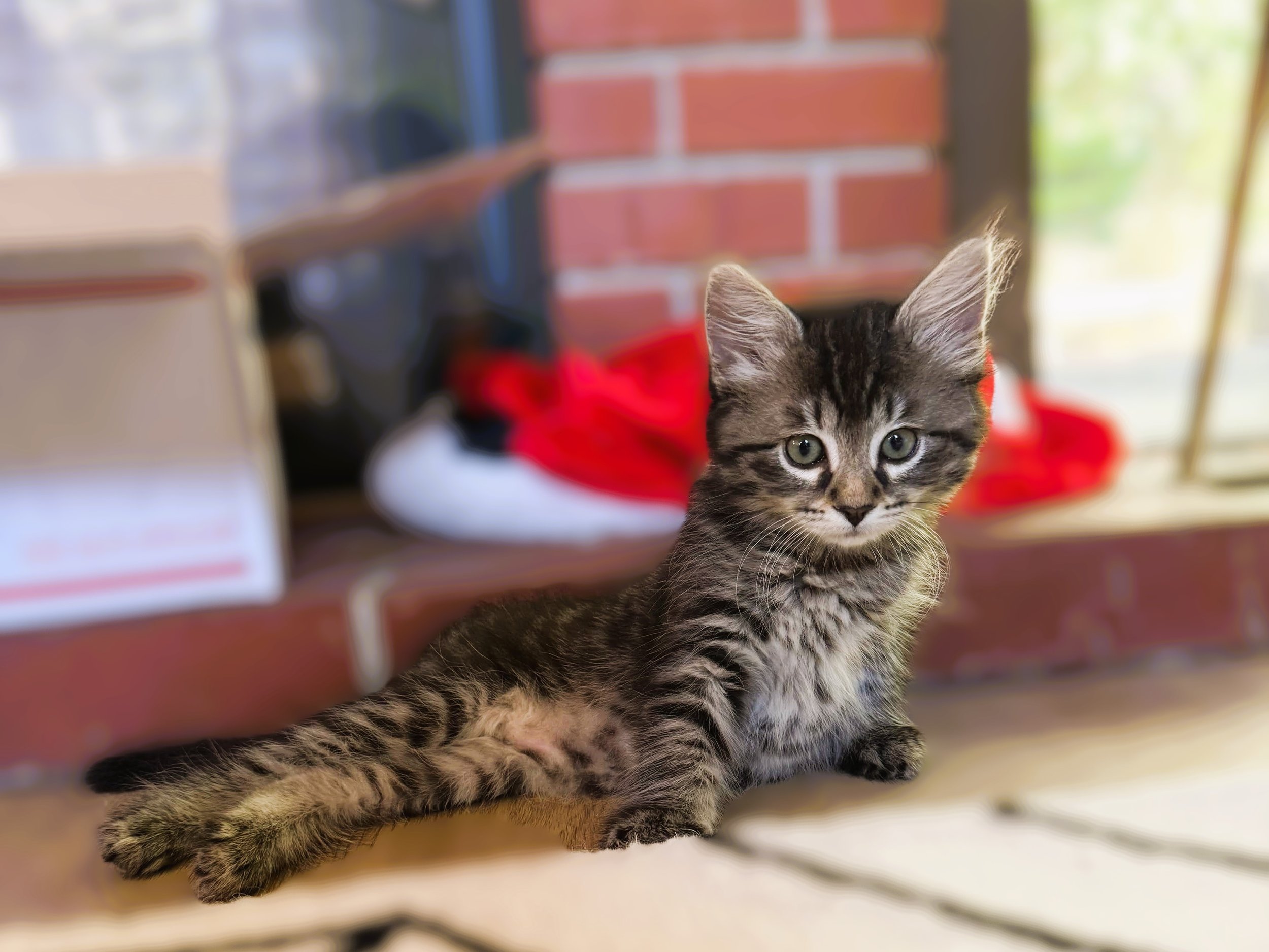 Minnie_1.jpg