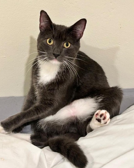 Screenshot 2026-03-13 112208.png