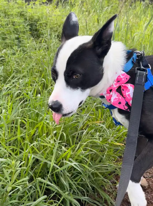 Screenshot 2026-02-16 114802.png