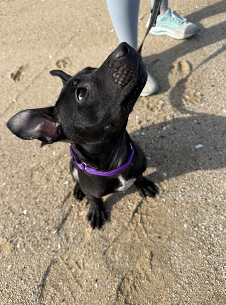 Screenshot 2026-01-17 170805.png