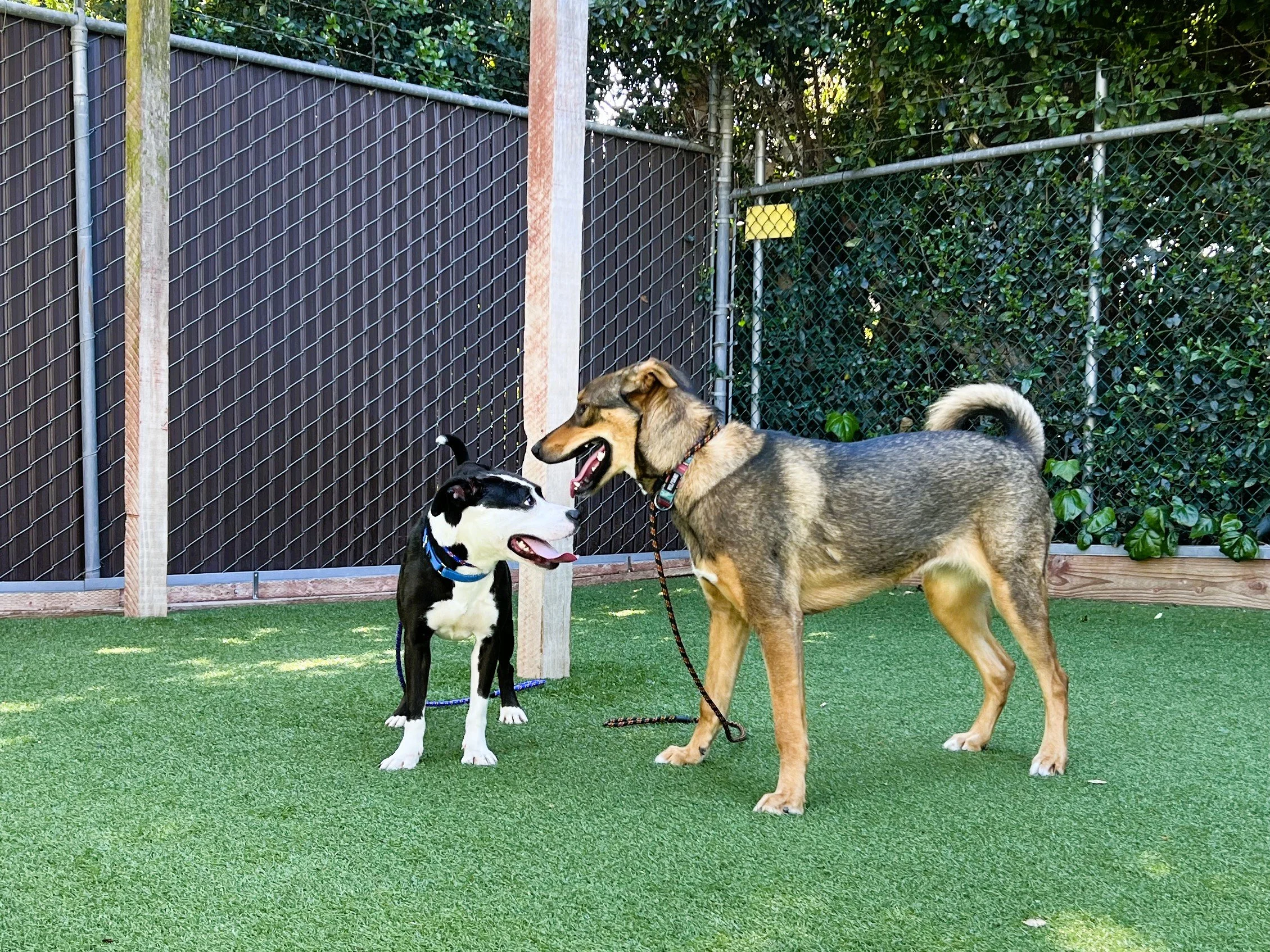 Image - 2026-03-11T151206.841.jpg