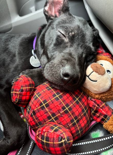 Screenshot 2026-01-17 170832.png