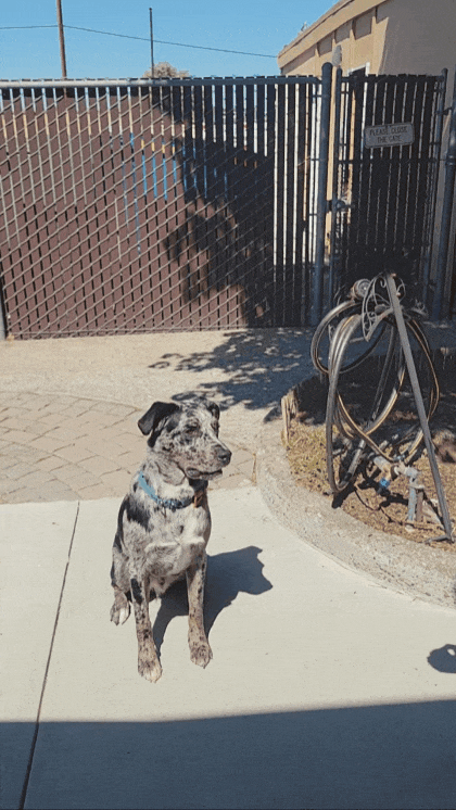 1000014414.gif