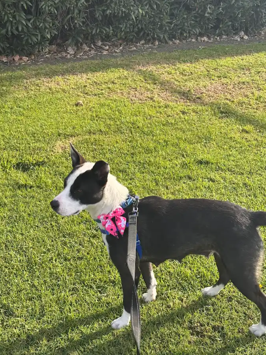 Screenshot 2026-02-16 114813.png