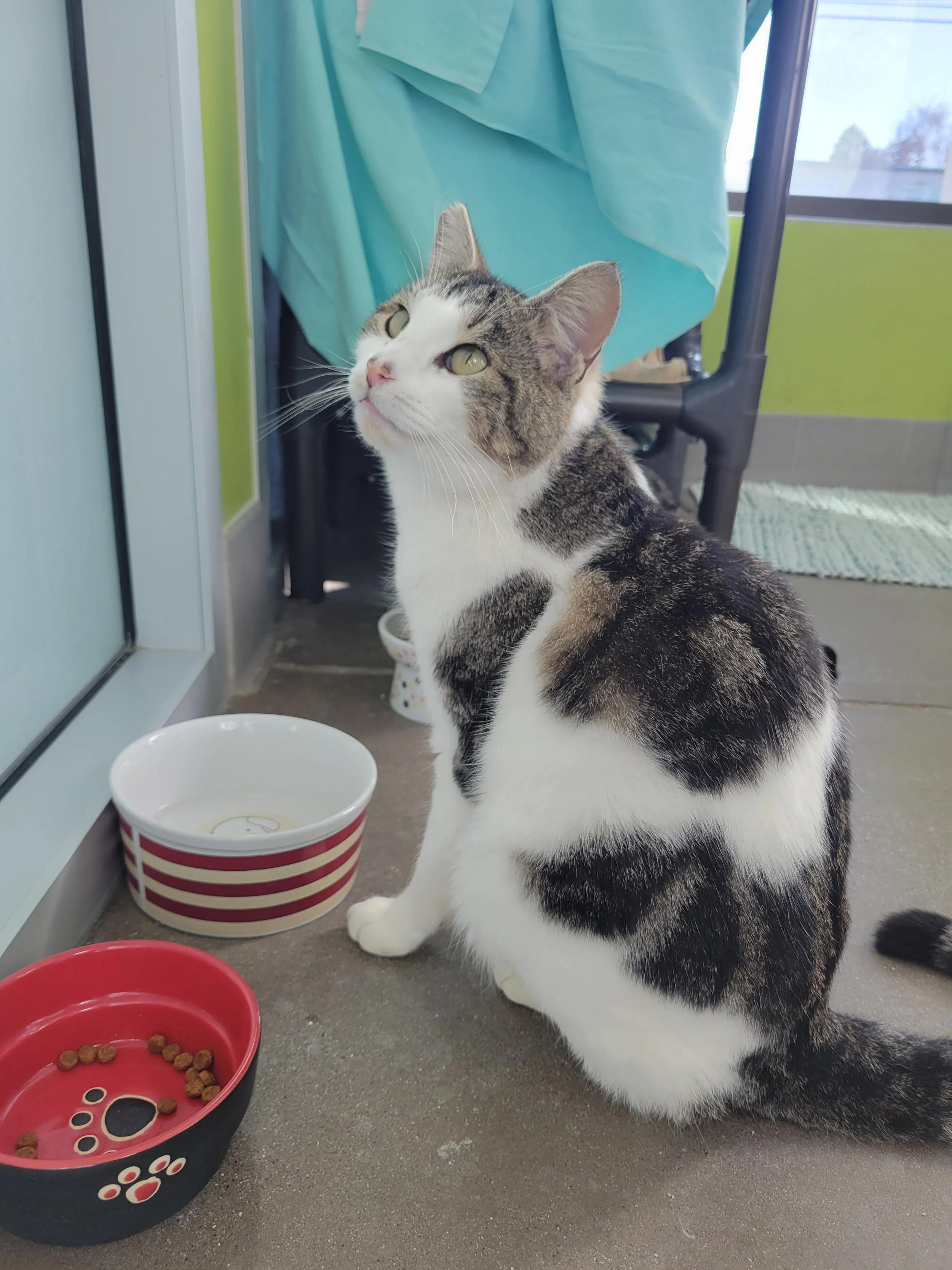 20260108_104611 (1).jpg