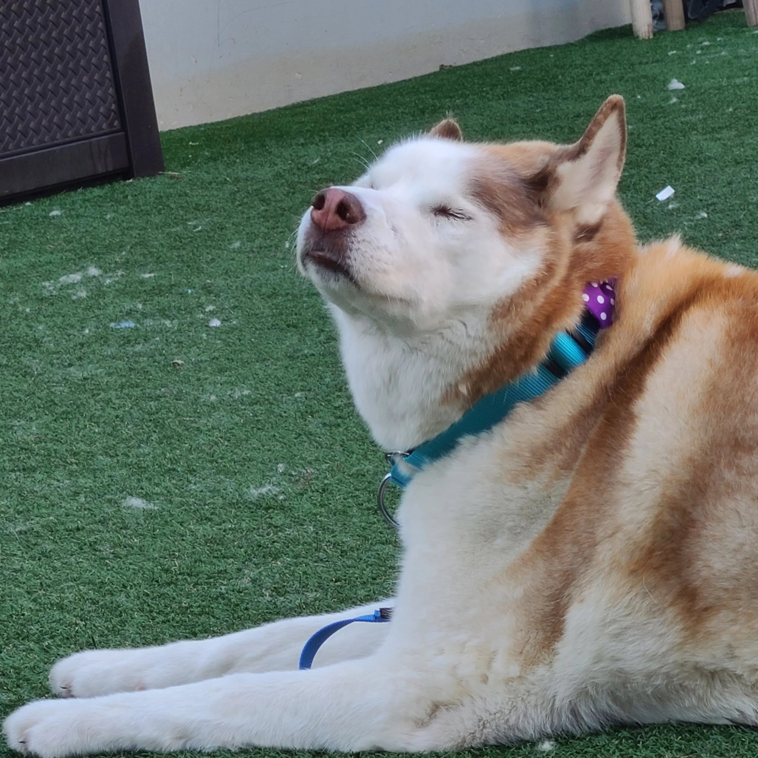 brody.jpg