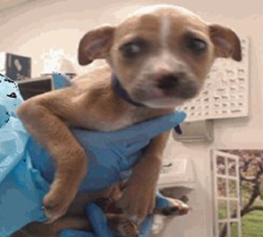 Screenshot 2026-03-06 114222.png