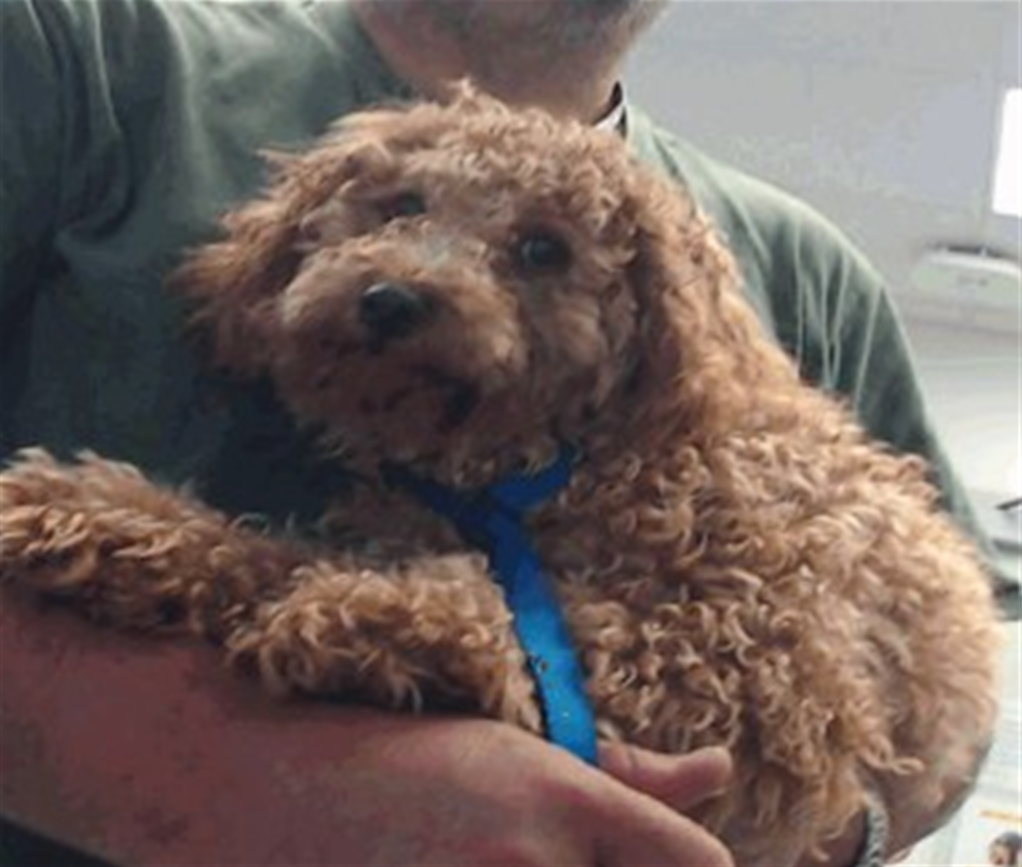 Screenshot 2026-04-17 115458.png