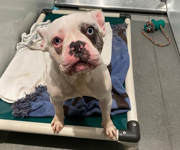 emmy.PNG