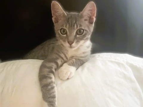 casper6.jpg