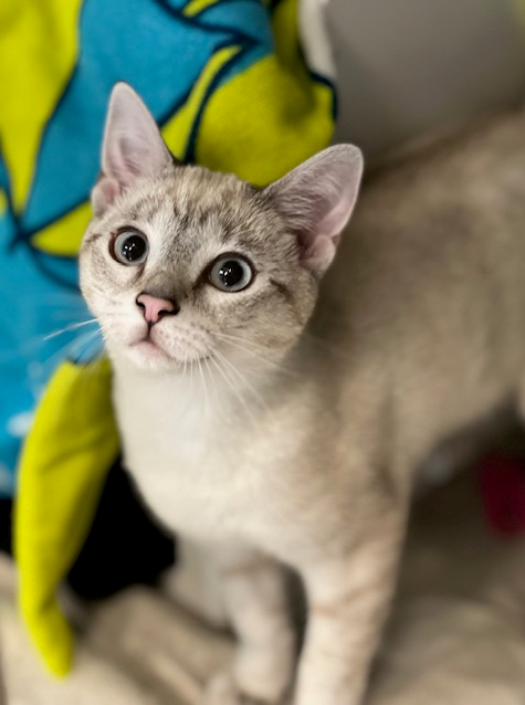 Screenshot 2026-01-12 133244.png