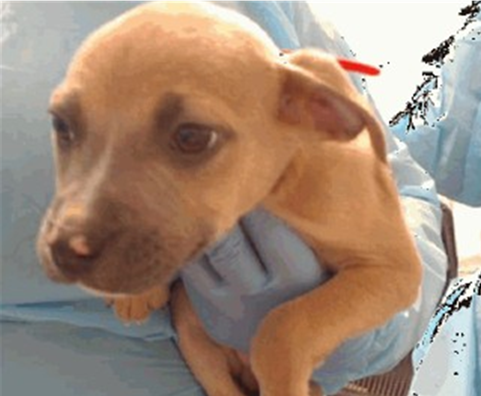 Screenshot 2026-03-06 105106.png