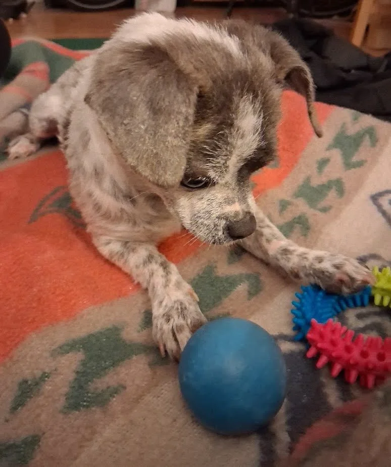 IMG_20260412_174211_1407 (002).jpg