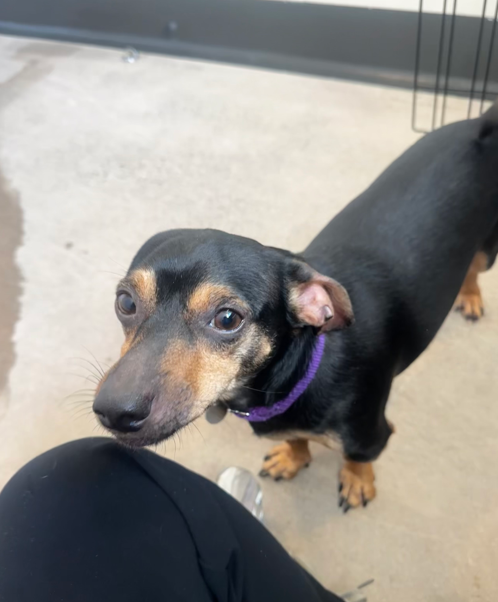 Screenshot 2026-03-06 095556.png