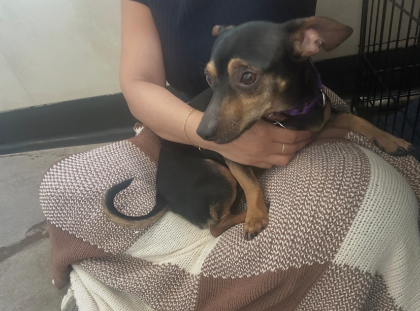 Screenshot 2026-03-06 095534.png