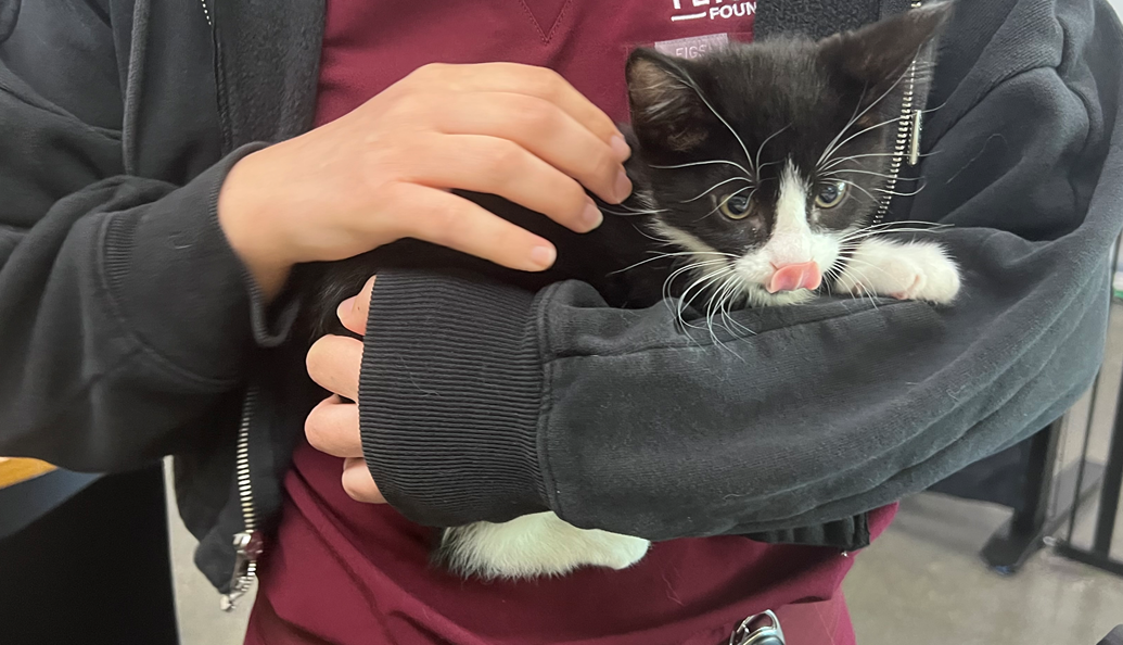 Screenshot 2026-03-23 114808.png