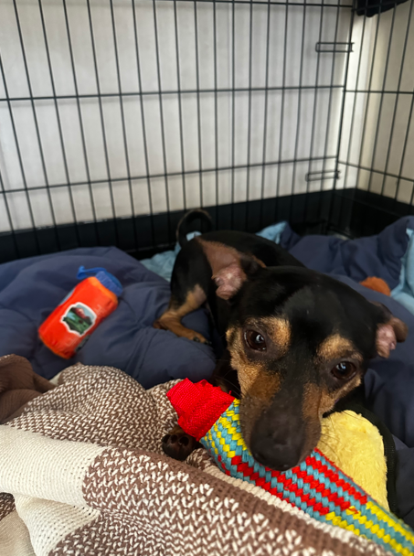 Screenshot 2026-03-06 095516.png