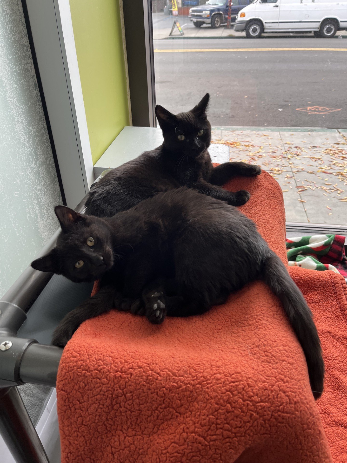 smirks and giggles.jpg