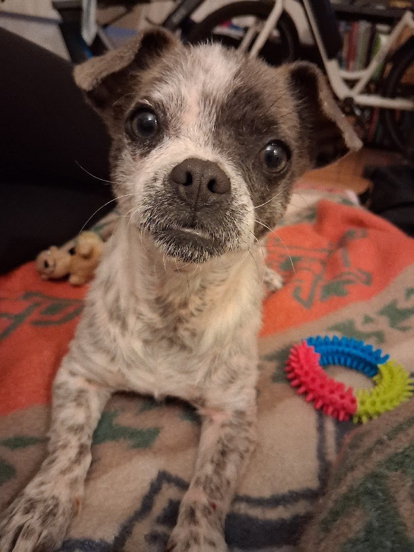 IMG_20260412_174200 (2)_5395.jpg