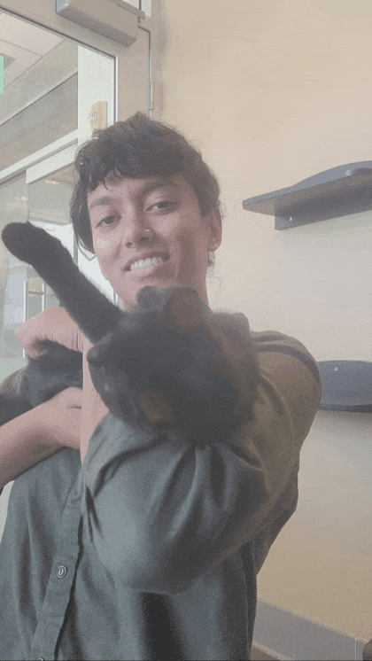 GIF_20250828_135557_703.gif