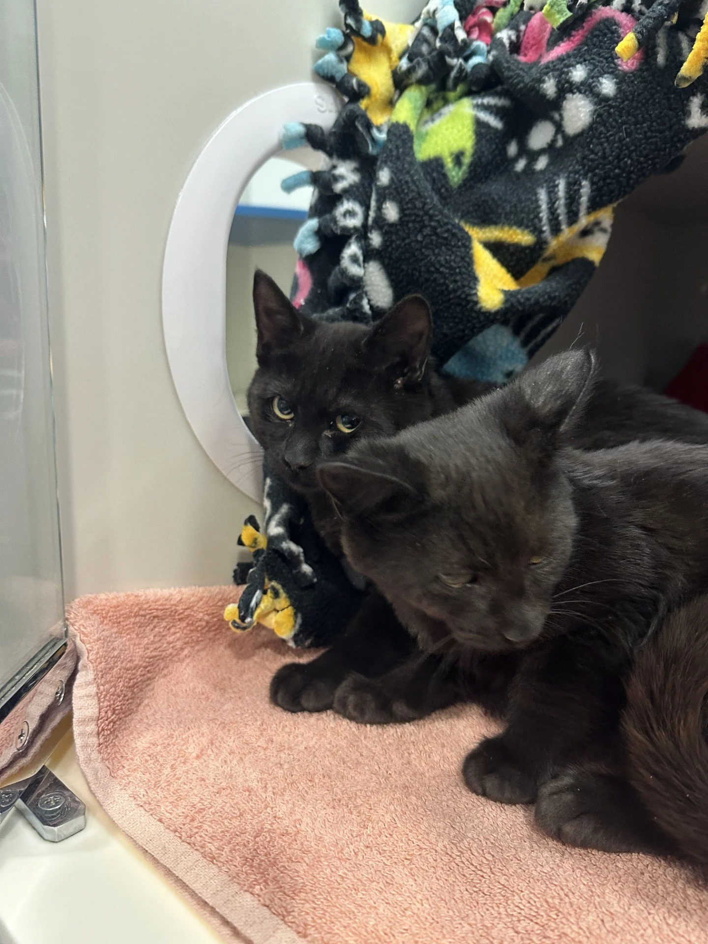 grubles and giggles.jpg