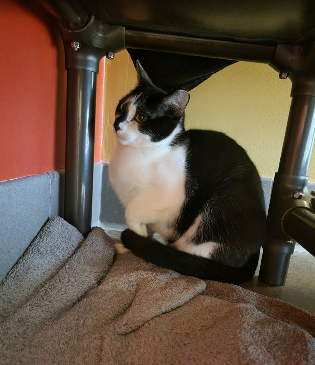 Screenshot 2026-01-08 125936.png