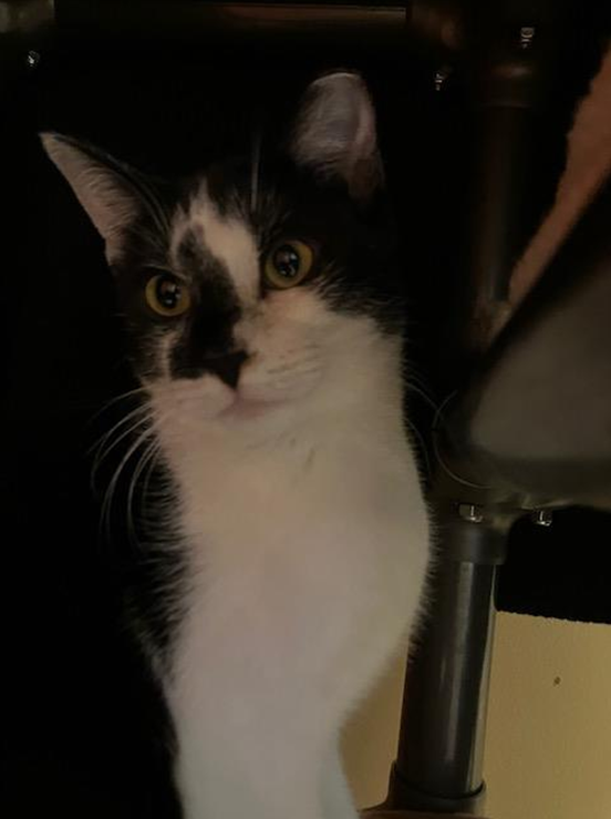 Screenshot 2026-01-08 125706.png