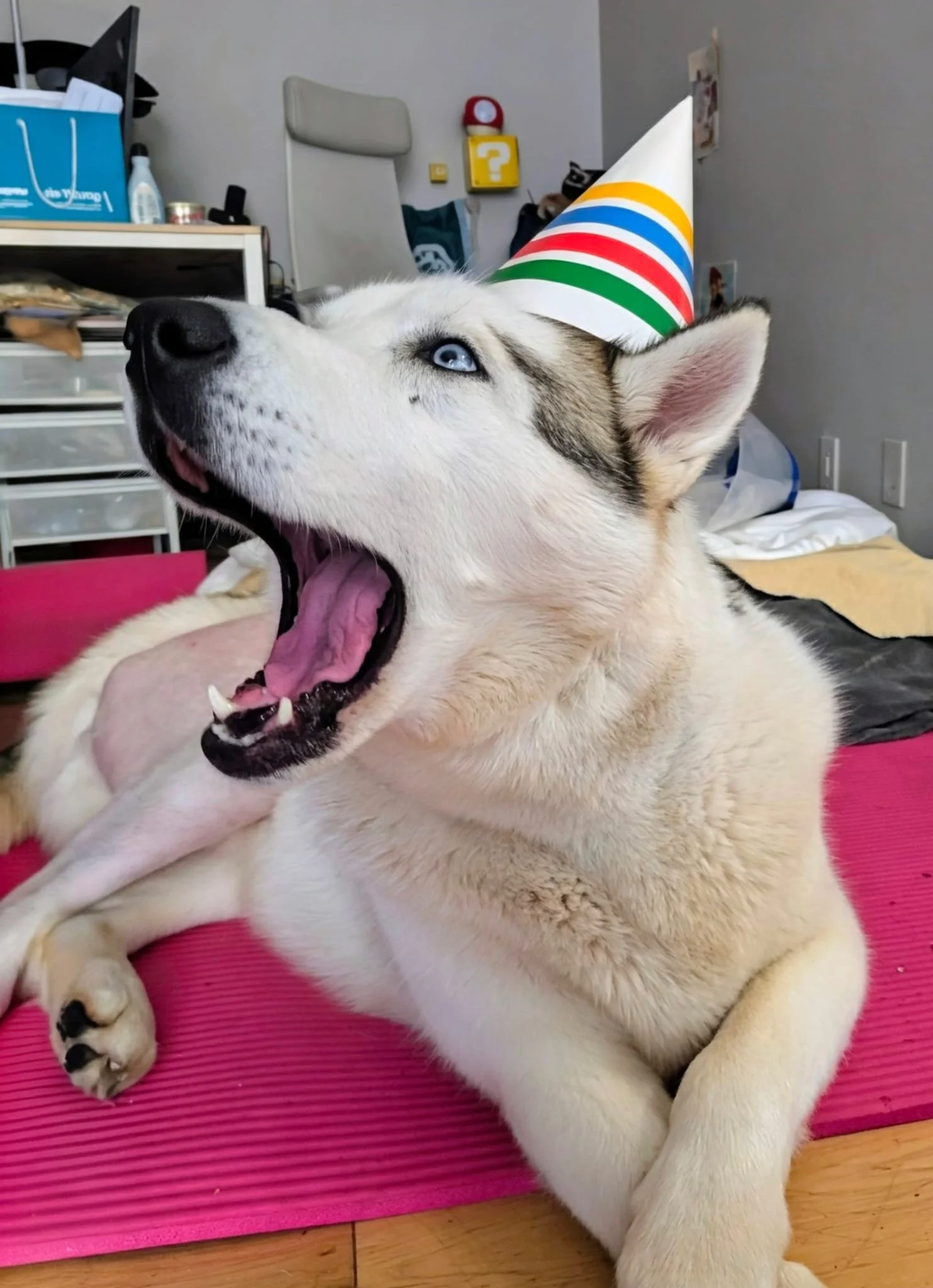 WhatsApp Image 2026-03-06 at 12.09.11 PM.jpeg