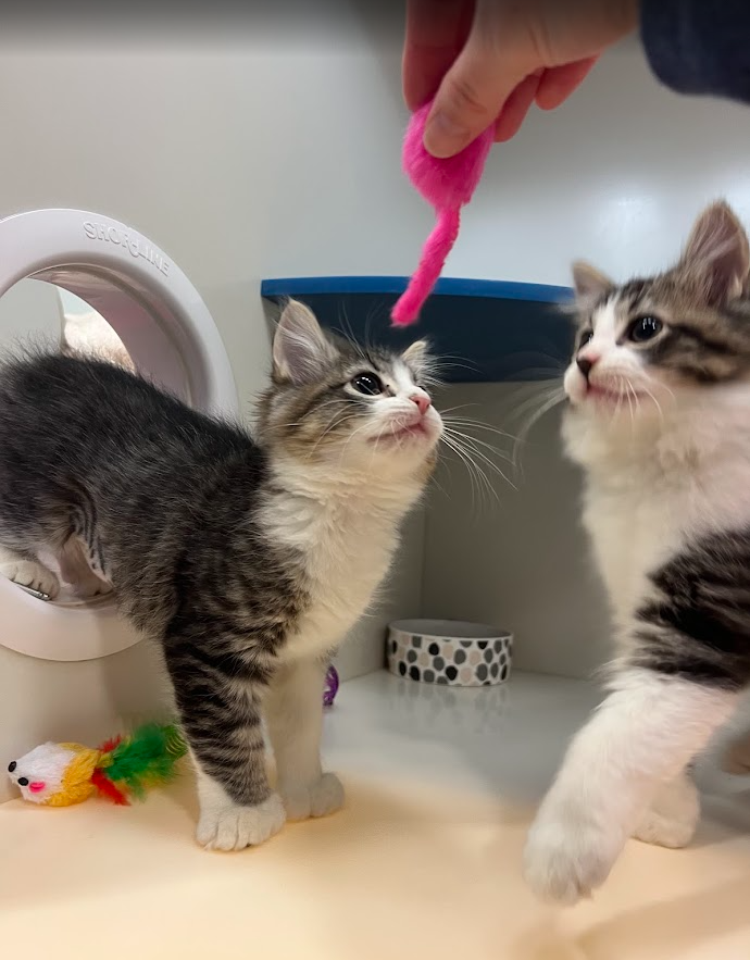 Screenshot 2026-01-09 151446.png