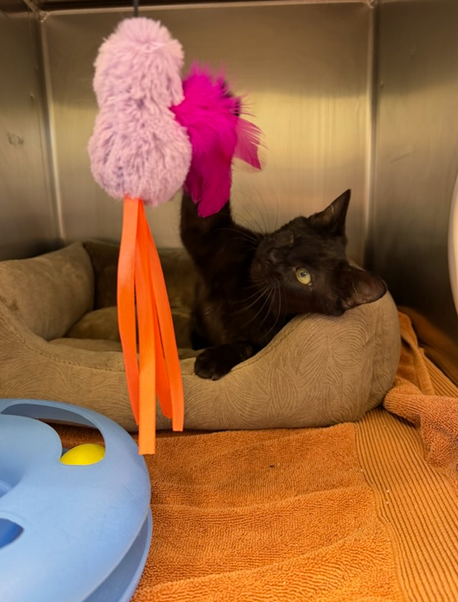 Screenshot 2026-01-12 144839.png