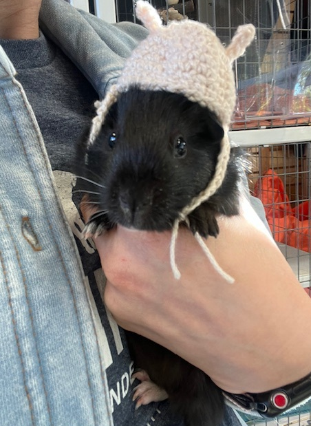 Screenshot 2026-01-12 145336.png