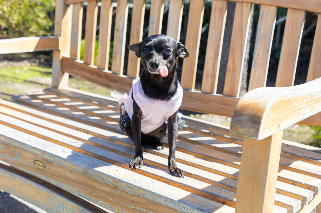 Screenshot 2026-03-20 141239.png