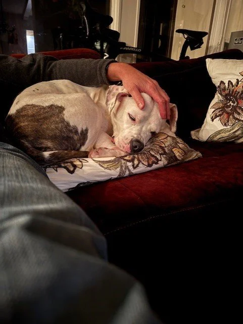 thumbnail_image1 (2).jpg