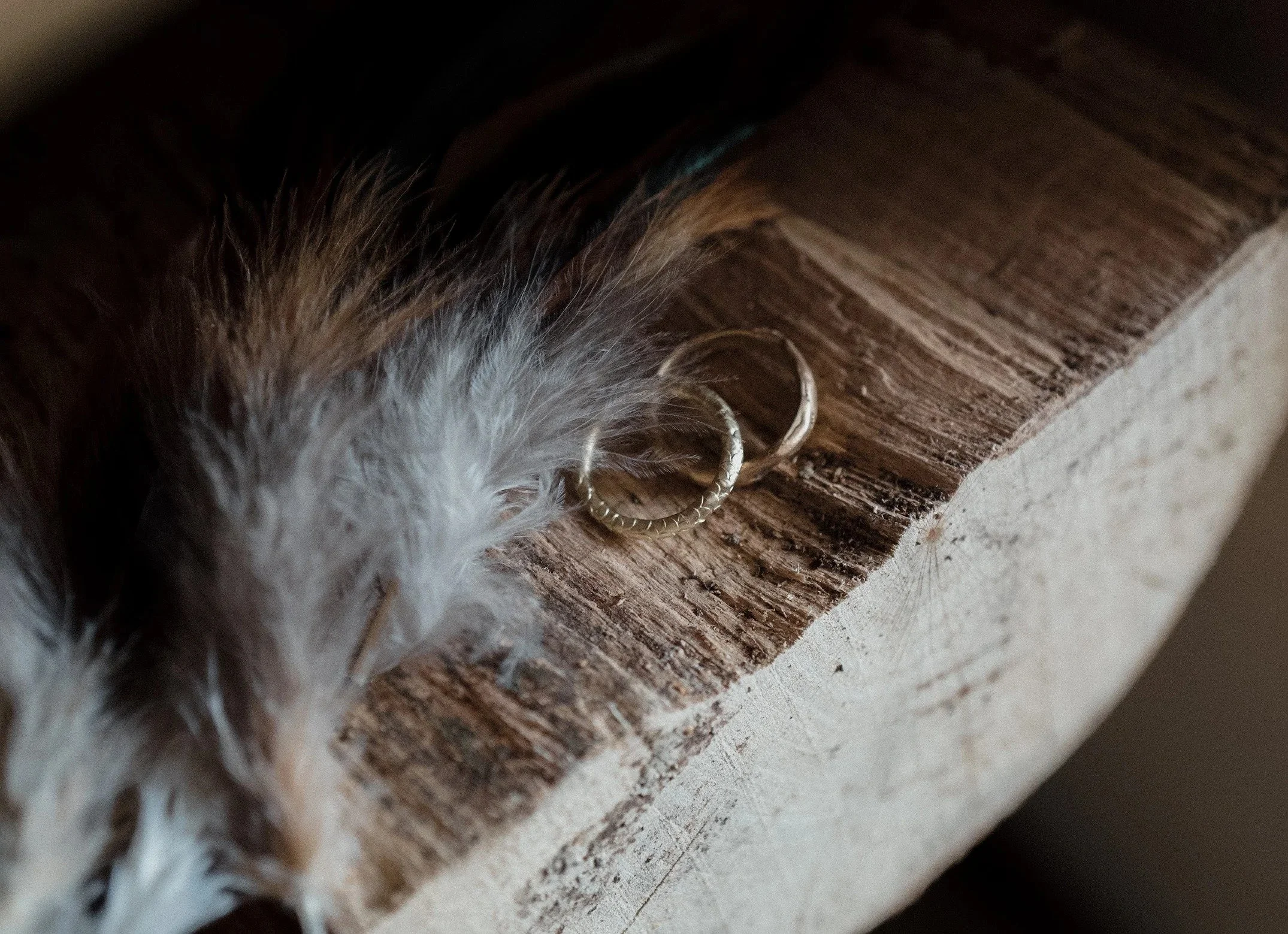 Wedding Photo Catkin Wedding Band for Bride and Groom