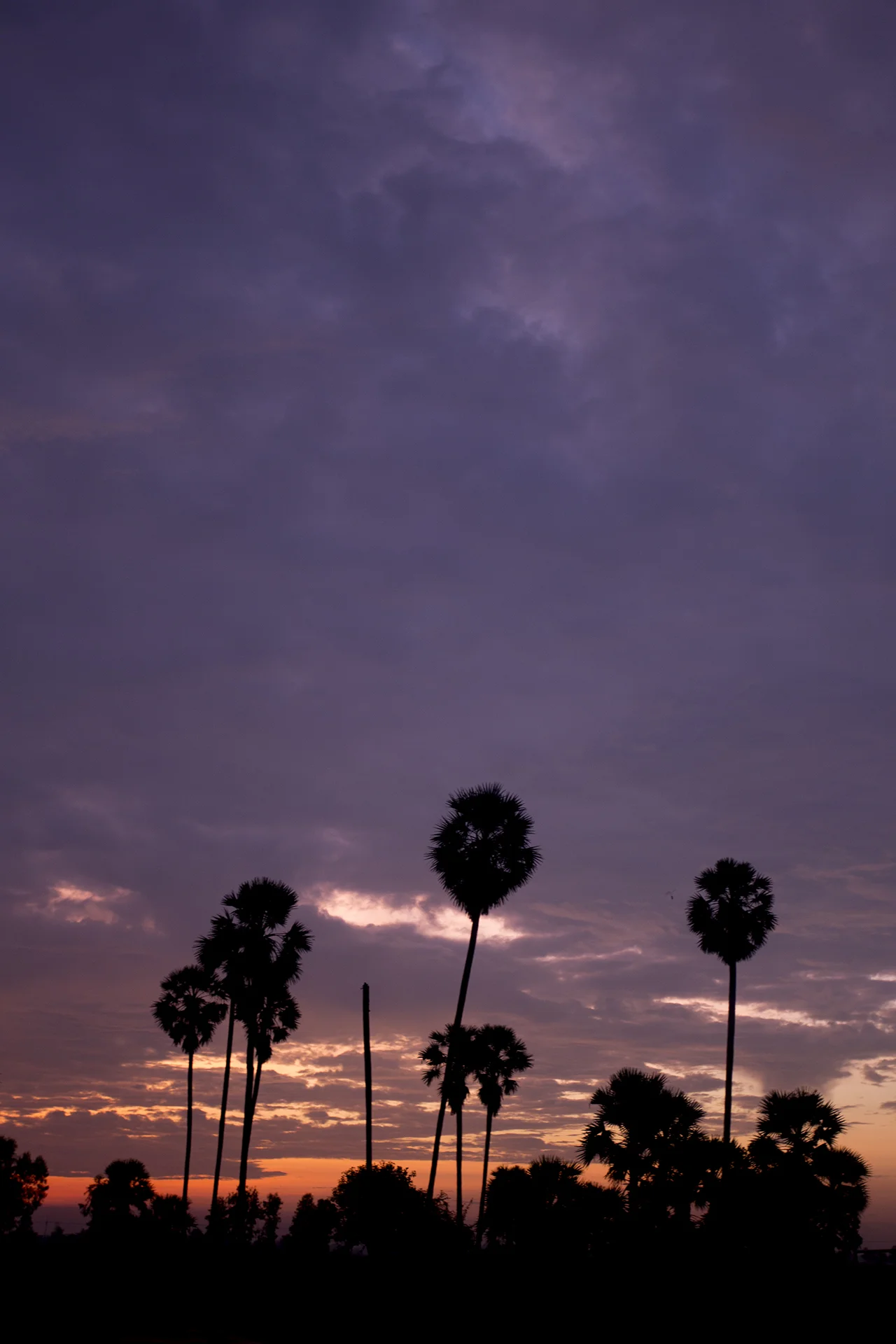 shcc20160116_0821 copy.jpg