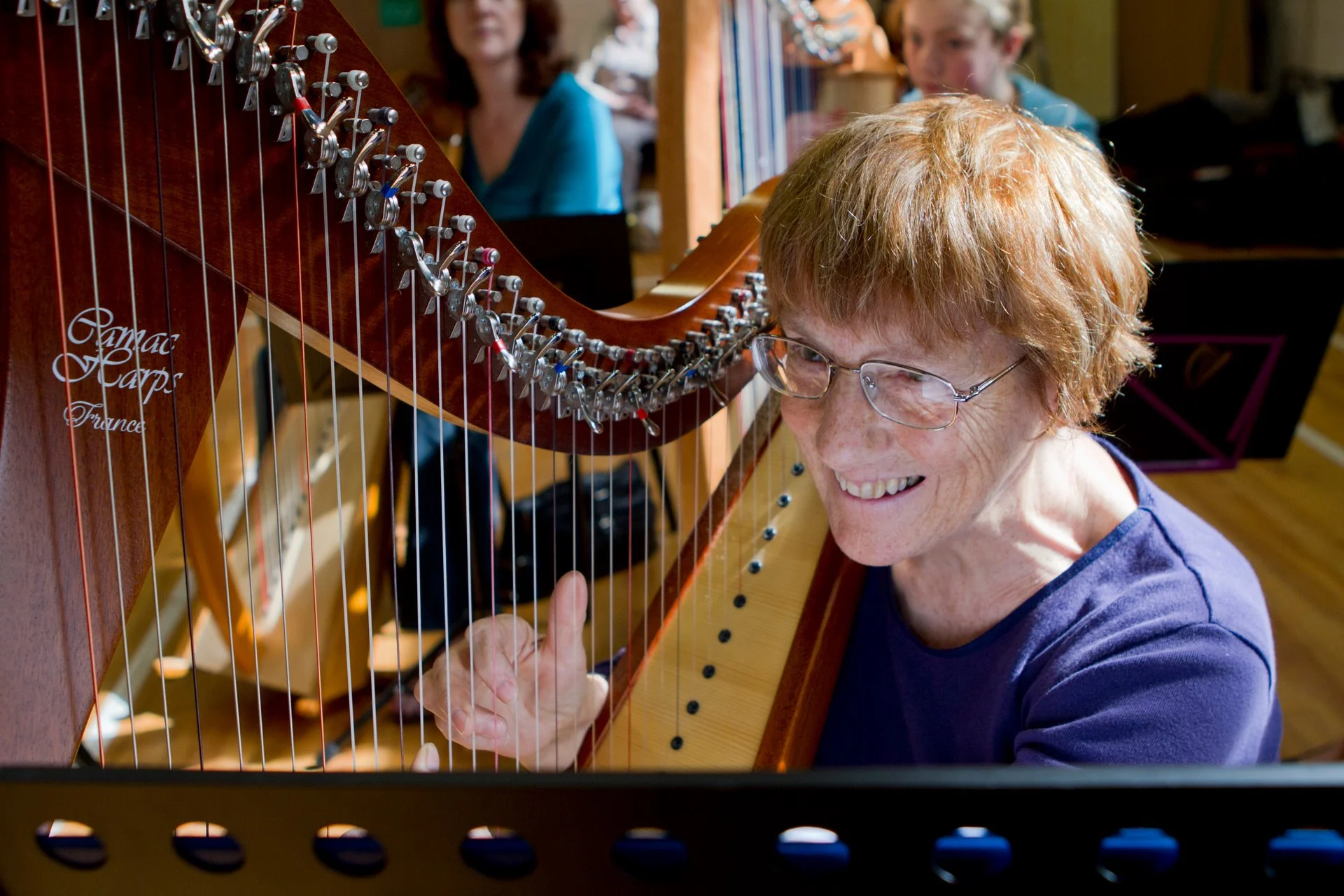 scotlandharp2.jpg