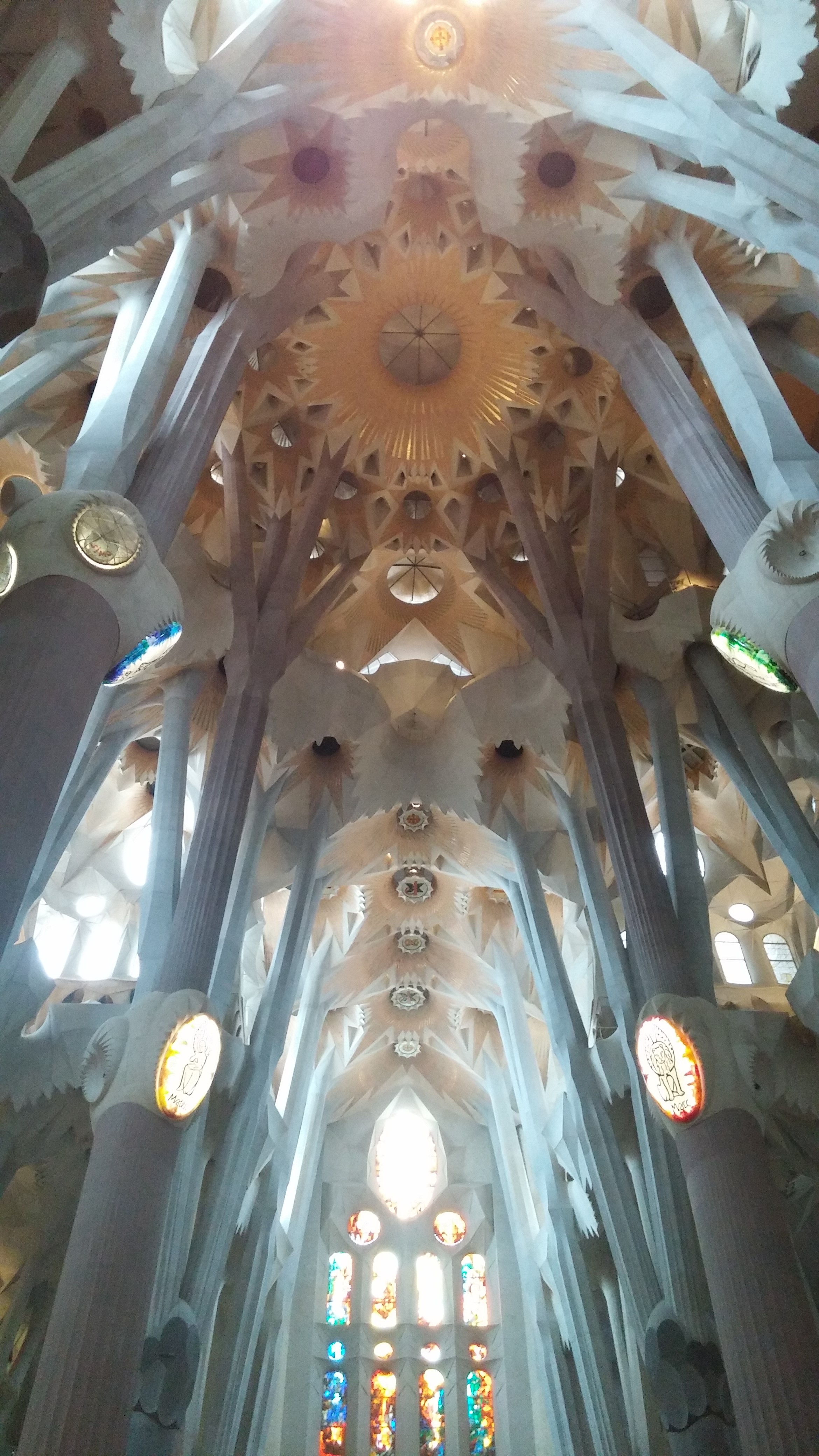 20160829_121831.jpg