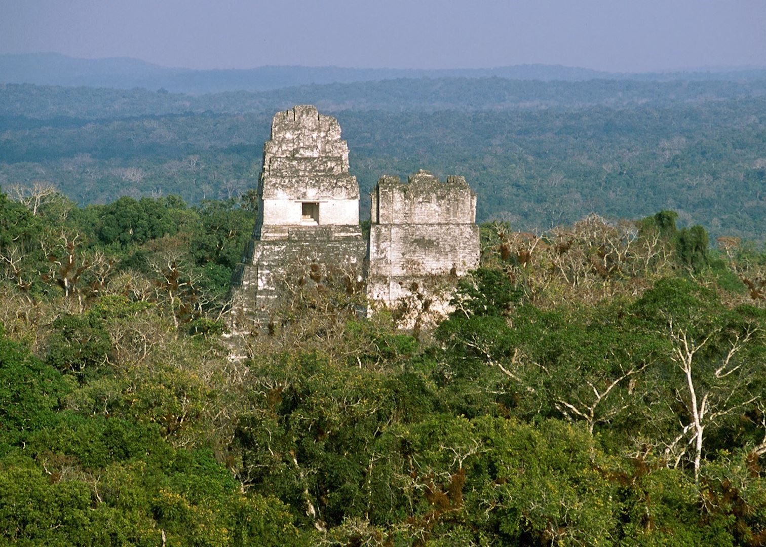 tikal 2.jpg