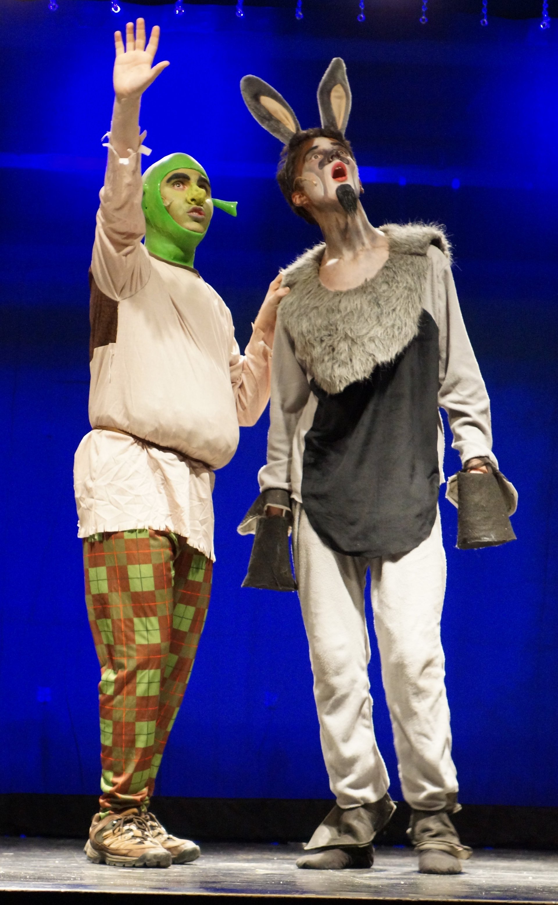 shrek final 2013-12-02 28_Cp3500ycRVmqP1kfUBU4-2920x4734.jpg