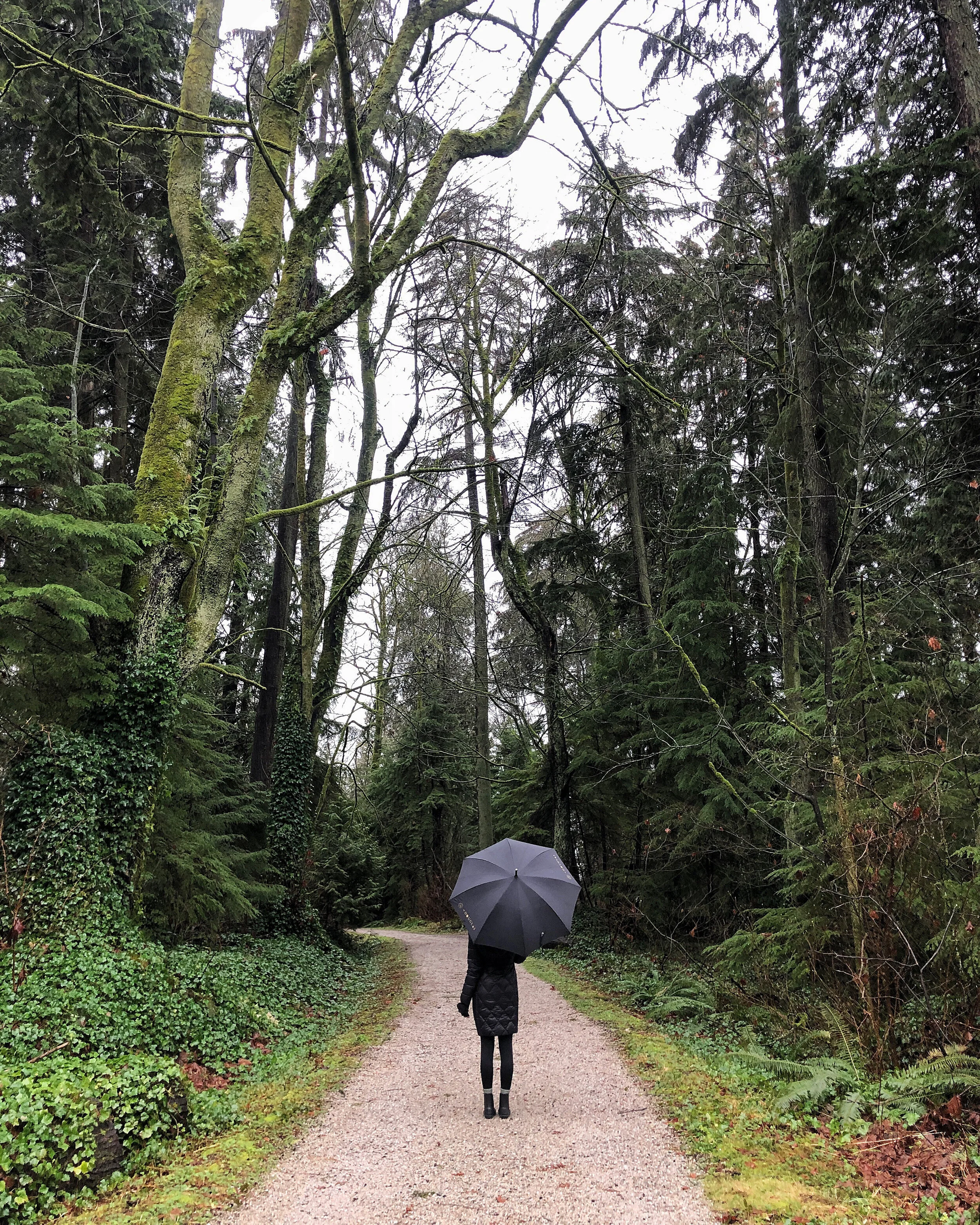 VANCOUVER, BRITISH COLUMBIA