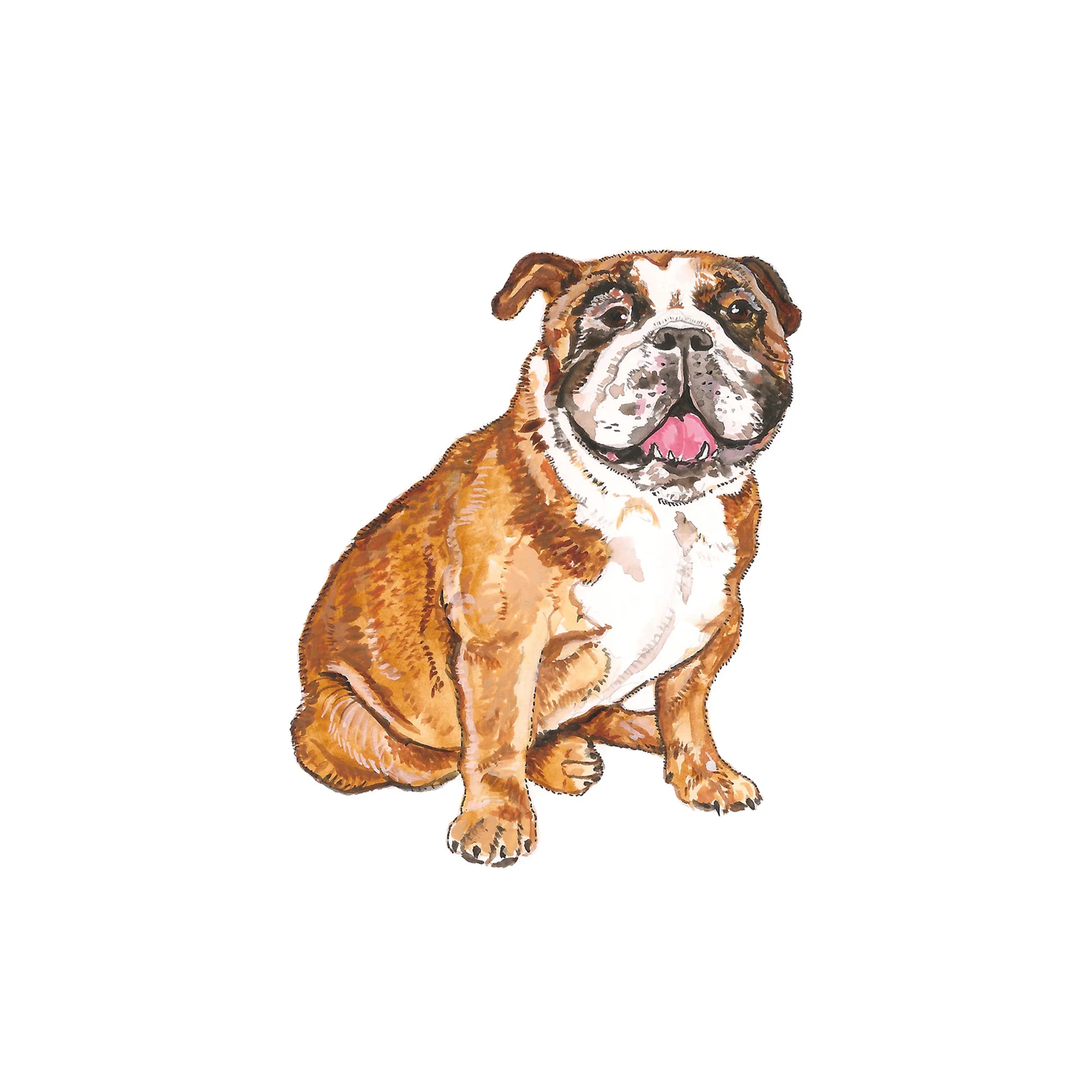 SQUARESPACE Bull.jpg