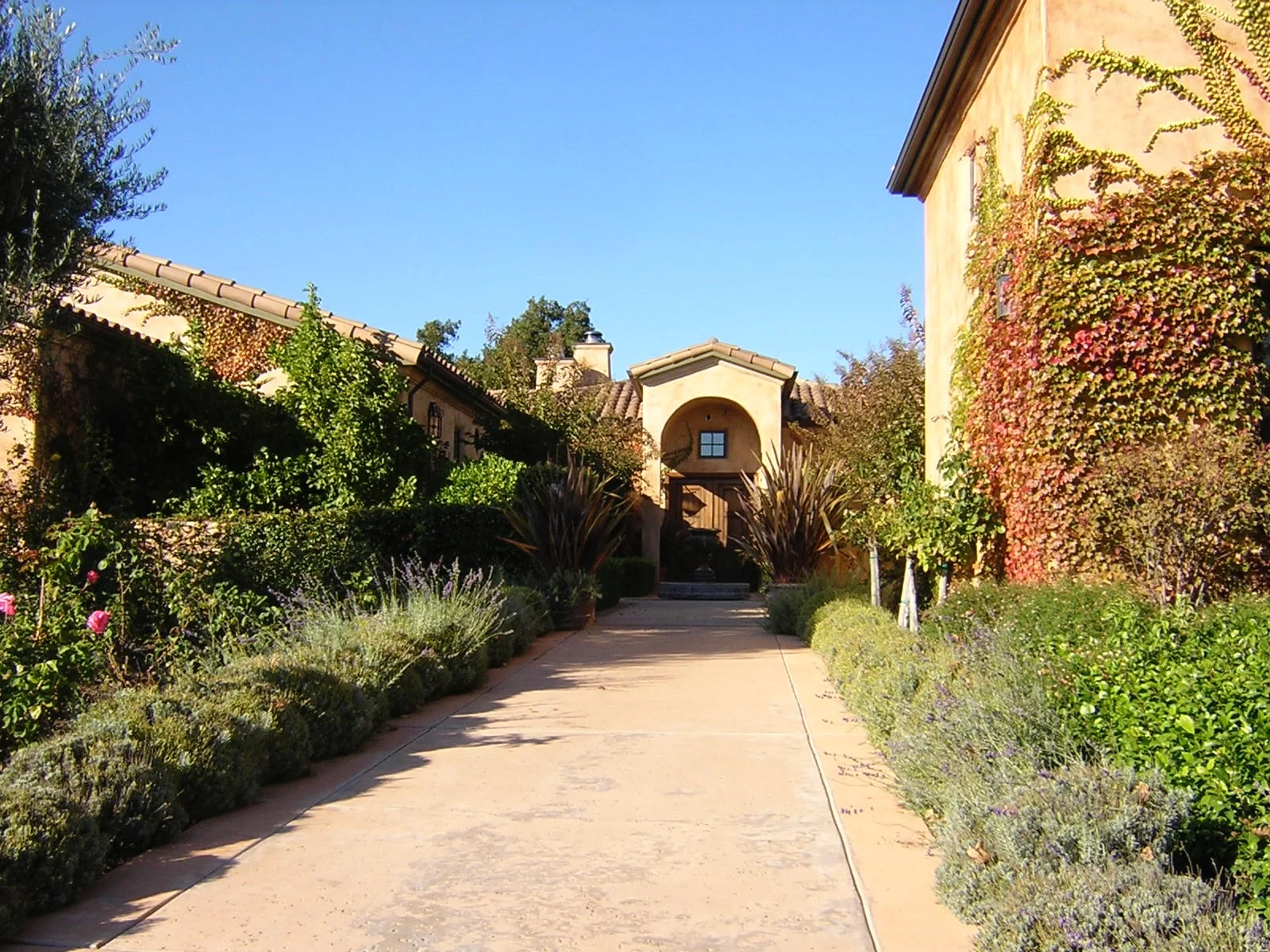 DSCN0567.jpg