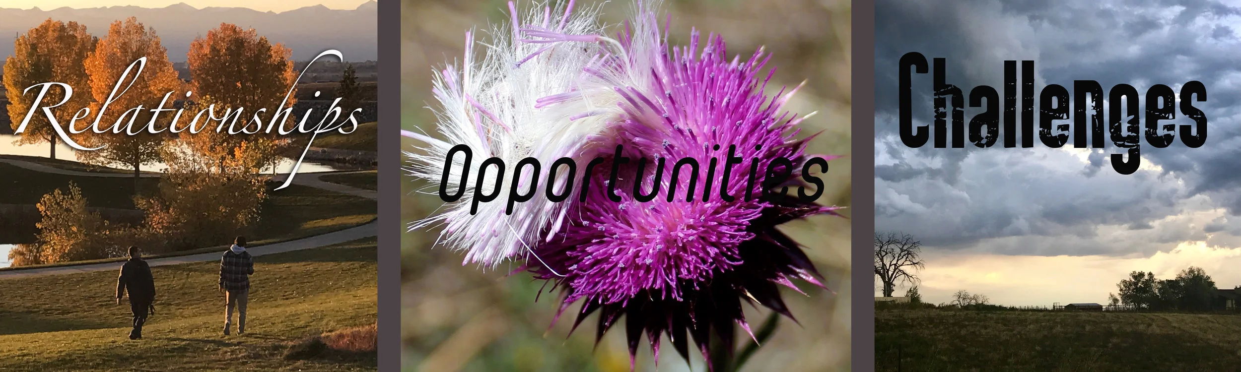 Realtionships,+Opportunities,+Challenges.jpg