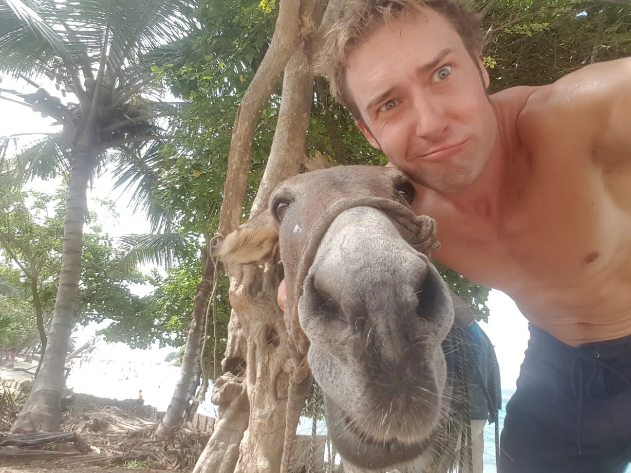 Tristan Cobine- Personal Trainer