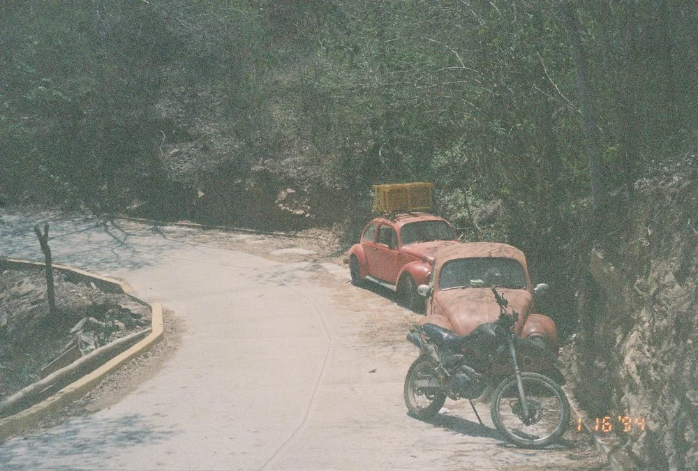 image-asset.jpg
